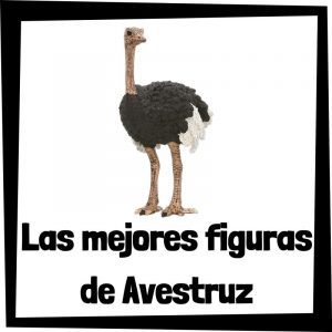 Lee mÃ¡s sobre el artÃ­culo Figuras de Avestruz