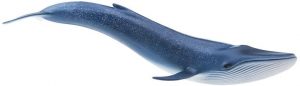 Figura de ballena azul de Schleich 2 - Los mejores mu帽ecos de ballenas - Figuras de ballena de animales