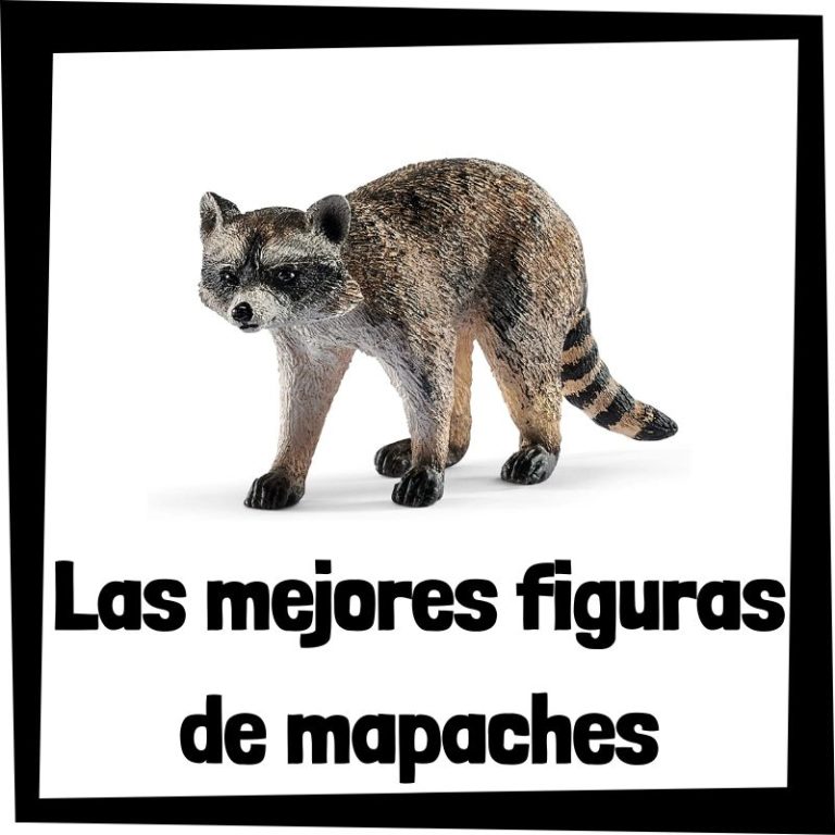 Lee mÃ¡s sobre el artÃ­culo Figuras de mapaches